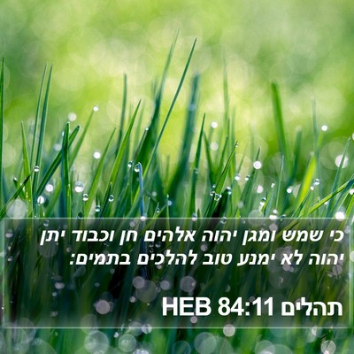 תהלים 84:11 HEB Bible Verse Image