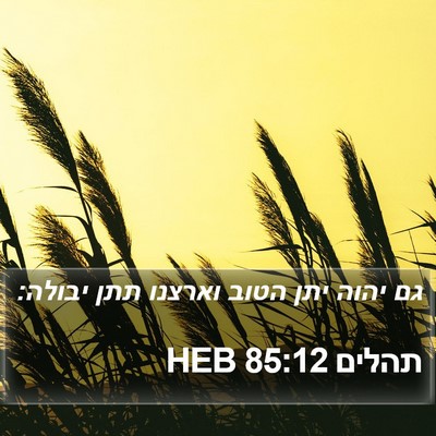 תהלים 85:12 HEB Bible Verse Image