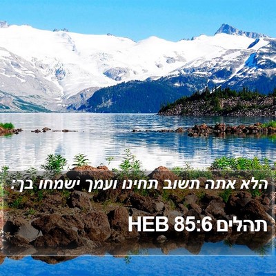 תהלים 85:6 HEB Bible Verse Image