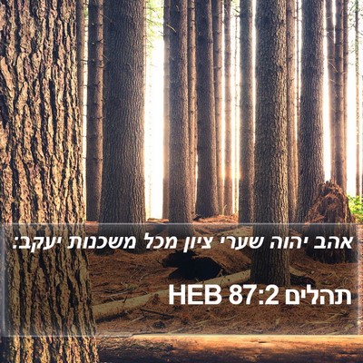 תהלים 87:2 HEB Bible Verse Image
