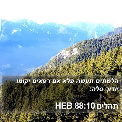 תהלים 88:10 HEB Bible Verse Image
