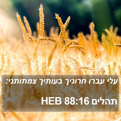 תהלים 88:16 HEB Bible Verse Image