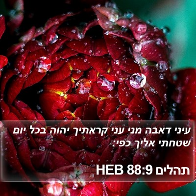תהלים 88:9 HEB Bible Verse Image