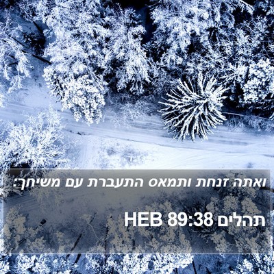 תהלים 89:38 HEB Bible Verse Image
