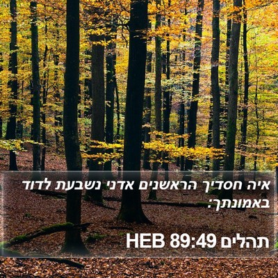 תהלים 89:49 HEB Bible Verse Image
