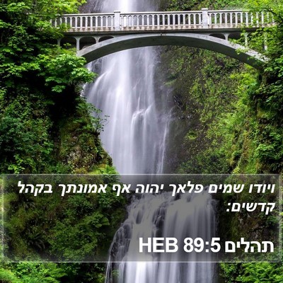 תהלים 89:5 HEB Bible Verse Image