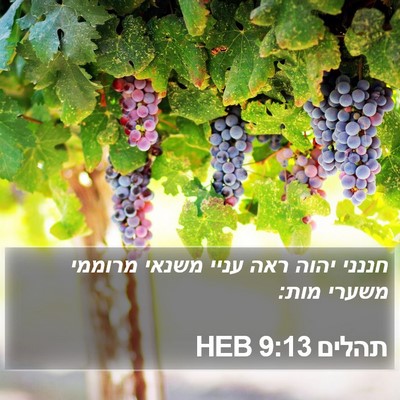 תהלים 9:13 HEB Bible Verse Image