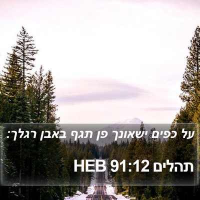 תהלים 91:12 HEB Bible Verse Image