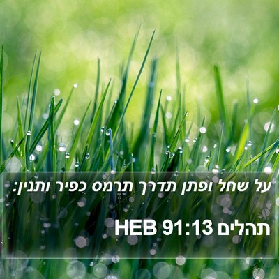 תהלים 91:13 HEB Bible Verse Image