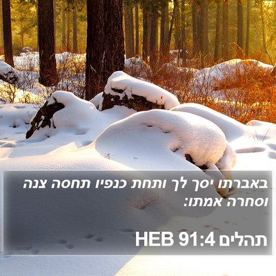 תהלים 91:4 HEB Bible Verse Image
