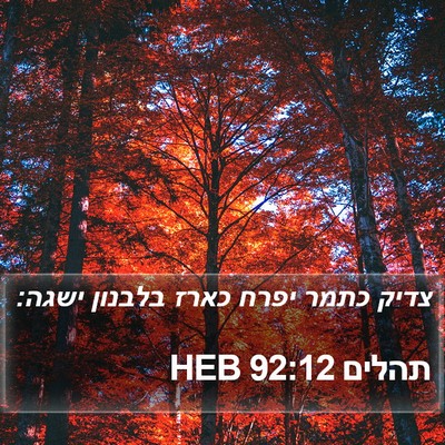 תהלים 92:12 HEB Bible Verse Image