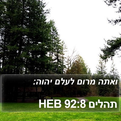 תהלים 92:8 HEB Bible Verse Image