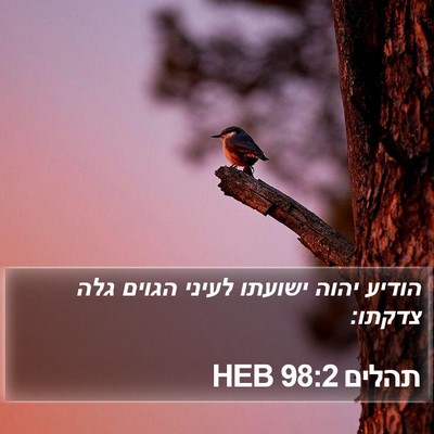 תהלים 98:2 HEB Bible Verse Image