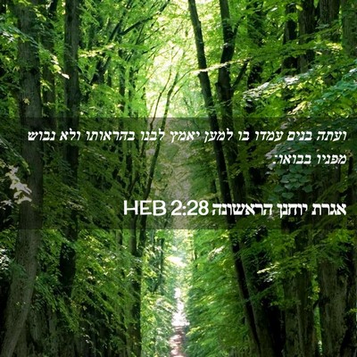Picture 02 - אגרת יוחנן הראשונה 2:28 HEB - ועתה בנים עמדו בו למען יאמץ - Bible Verse Picture
