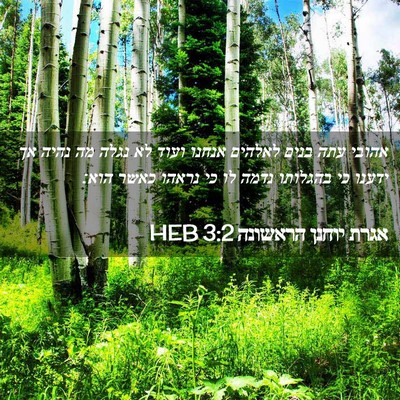 Picture 02 - אגרת יוחנן הראשונה 3:2 HEB - אהובי עתה בנים לאלהים - Bible Verse Picture