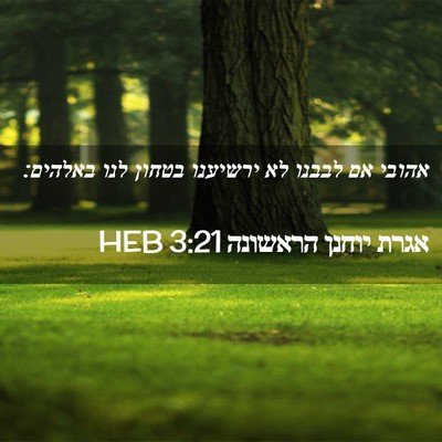 Picture 02 - אגרת יוחנן הראשונה 3:21 HEB - אהובי אם לבבנו לא ירשיענו - Bible Verse Picture