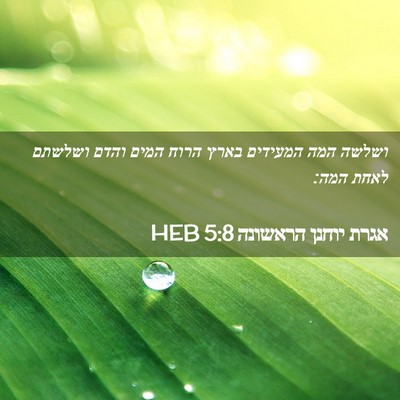 Picture 02 - אגרת יוחנן הראשונה 5:8 HEB - ושלשה המה המעידים בארץ - Bible Verse Picture