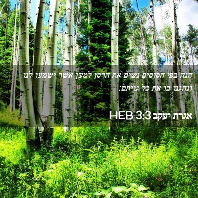 Picture 02 - אגרת יעקב 3:3 HEB - הנה בפי הסוסים נשים את הרסן - Bible Verse Picture