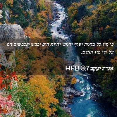 Picture 02 - אגרת יעקב 3:7 HEB - כי מין כל בהמה ועוף ורמש - Bible Verse Picture