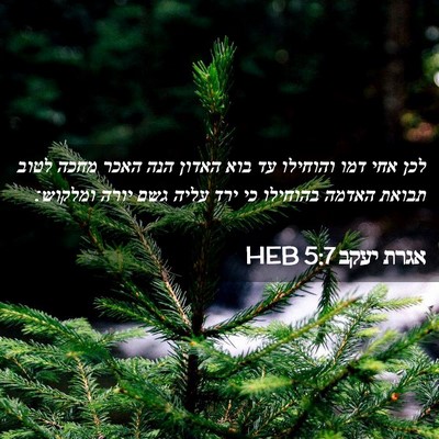 Picture 02 - אגרת יעקב 5:7 HEB - לכן אחי דמו והוחילו עד בוא - Bible Verse Picture