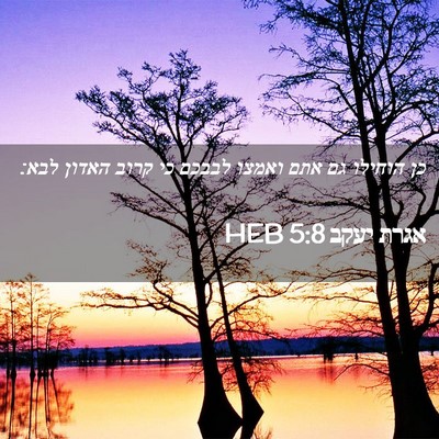 Picture 02 - אגרת יעקב 5:8 HEB - כן הוחילו גם אתם ואמצו - Bible Verse Picture