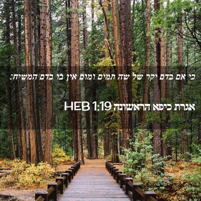 Picture 02 - אגרת כיפא הראשונה 1:19 HEB - כי אם בדם יקר של שה תמים - Bible Verse Picture