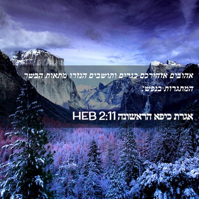 Picture 02 - אגרת כיפא הראשונה 2:11 HEB - אהובים אזהירכם כגרים - Bible Verse Picture