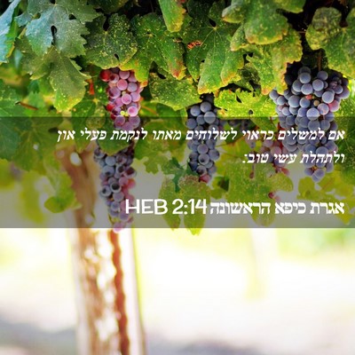 Picture 02 - אגרת כיפא הראשונה 2:14 HEB - אם למשלים כראוי לשלוחים - Bible Verse Picture