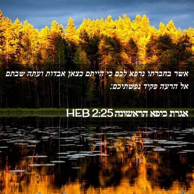 Picture 02 - אגרת כיפא הראשונה 2:25 HEB - אשר בחברתו נרפא לכם כי - Bible Verse Picture