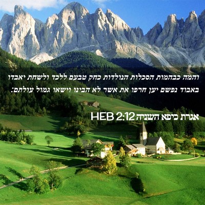 Picture 02 - אגרת כיפא השניה 2:12 HEB - והמה כבהמות הסכלות הנולדות - Bible Verse Picture