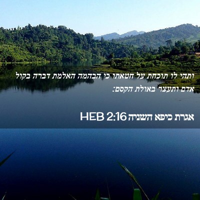 Picture 02 - אגרת כיפא השניה 2:16 HEB - ותהי לו תוכחת על חטאתו כי - Bible Verse Picture