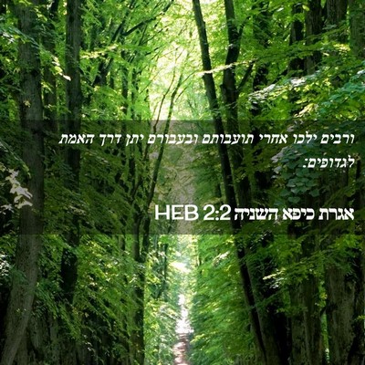 Picture 02 - אגרת כיפא השניה 2:2 HEB - ורבים ילכו אחרי תועבותם - Bible Verse Picture
