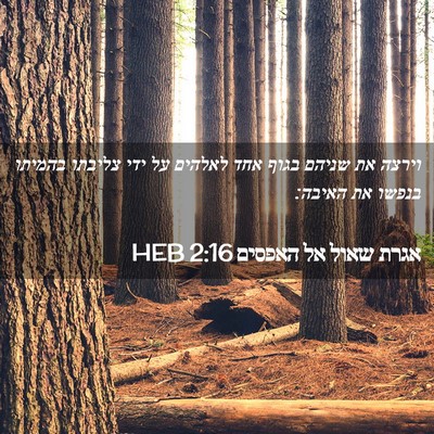 Picture 02 - אגרת שאול אל האפסים 2:16 HEB - וירצה את שניהם בגוף אחד - Bible Verse Picture