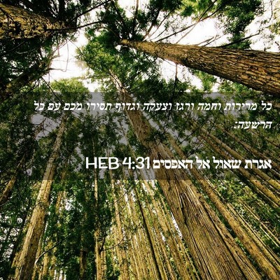 Picture 02 - אגרת שאול אל האפסים 4:31 HEB - כל מרירות וחמה ורגז וצעקה - Bible Verse Picture