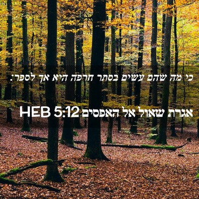 Picture 02 - אגרת שאול אל האפסים 5:12 HEB - כי מה שהם עשים בסתר חרפה - Bible Verse Picture