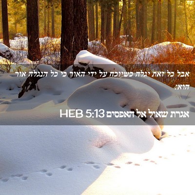 Picture 02 - אגרת שאול אל האפסים 5:13 HEB - אבל כל זאת יגלה כשיוכח על - Bible Verse Picture