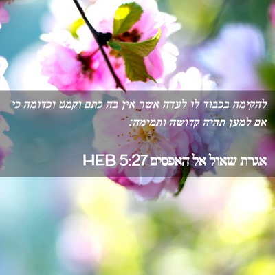 Picture 02 - אגרת שאול אל האפסים 5:27 HEB - להקימה בכבוד לו לעדה אשר - Bible Verse Picture