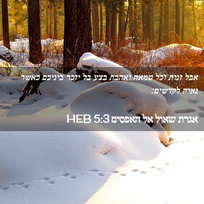 Picture 02 - אגרת שאול אל האפסים 5:3 HEB - אבל זנות וכל טמאה ואהבת בצע - Bible Verse Picture