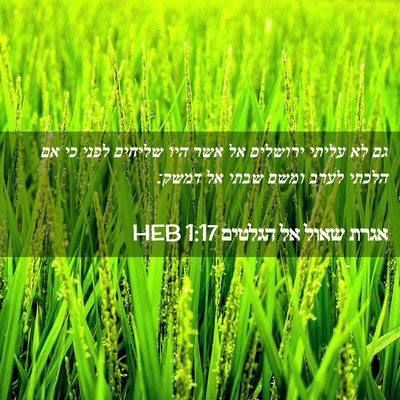 Picture 02 - אגרת שאול אל הגלטים 1:17 HEB - גם לא עליתי ירושלים אל אשר - Bible Verse Picture