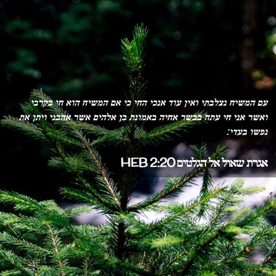 Picture 02 - אגרת שאול אל הגלטים 2:20 HEB - עם המשיח נצלבתי ואין עוד - Bible Verse Picture