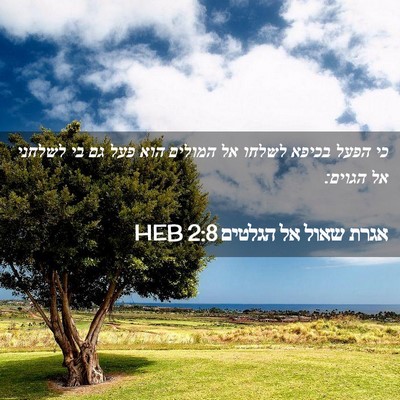 Picture 02 - אגרת שאול אל הגלטים 2:8 HEB - כי הפעל בכיפא לשלחו אל - Bible Verse Picture