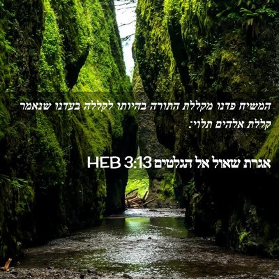 Picture 02 - אגרת שאול אל הגלטים 3:13 HEB - המשיח פדנו מקללת התורה - Bible Verse Picture