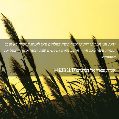 Picture 02 - אגרת שאול אל הגלטים 3:17 HEB - וזאת אני אמר כי דיתיקי אשר - Bible Verse Picture