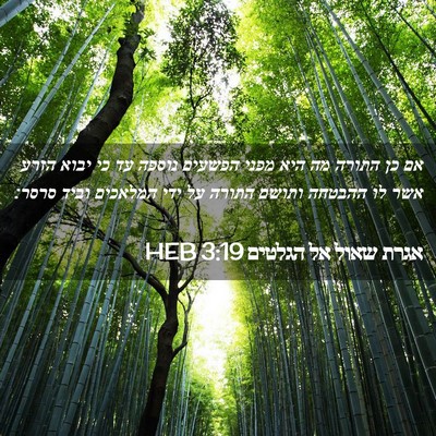 Picture 02 - אגרת שאול אל הגלטים 3:19 HEB - אם כן התורה מה היא מפני - Bible Verse Picture