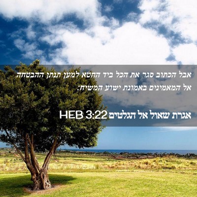 Picture 02 - אגרת שאול אל הגלטים 3:22 HEB - אבל הכתוב סגר את הכל ביד - Bible Verse Picture