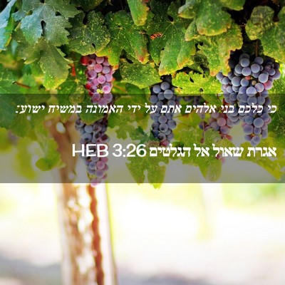 Picture 02 - אגרת שאול אל הגלטים 3:26 HEB - כי כלכם בני אלהים אתם על - Bible Verse Picture