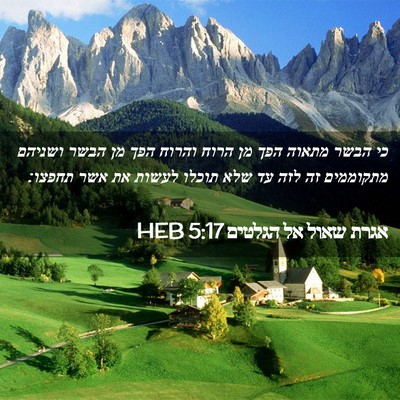 Picture 02 - אגרת שאול אל הגלטים 5:17 HEB - כי הבשר מתאוה הפך מן הרוח - Bible Verse Picture