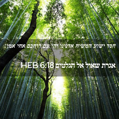 Picture 02 - אגרת שאול אל הגלטים 6:18 HEB - חסד ישוע המשיח אדנינו יהי - Bible Verse Picture
