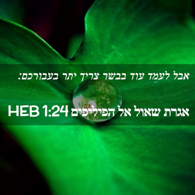 Picture 02 - אגרת שאול אל הפיליפים 1:24 HEB - אבל לעמד עוד בבשר צריך יתר - Bible Verse Picture