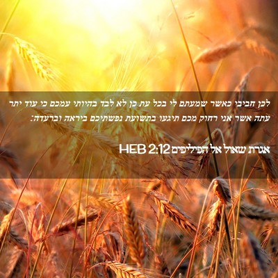 Picture 02 - אגרת שאול אל הפיליפים 2:12 HEB - לכן חביבי כאשר שמעתם לי בכל - Bible Verse Picture